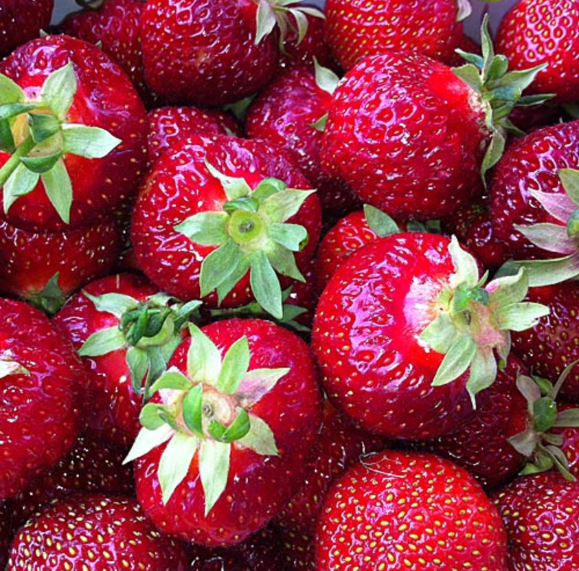 Erdbeer-Blechkuchen für alle Liebhaber der roten Früchte Bild 3