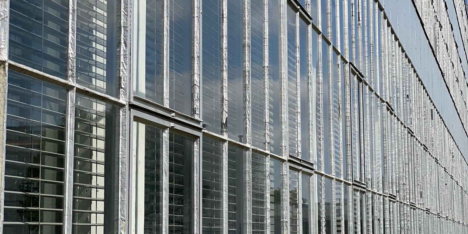 Auf architektonischer Entdeckungstour durch Rotterdam Bild 4