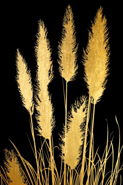 Fine Art Print Reed in Gold